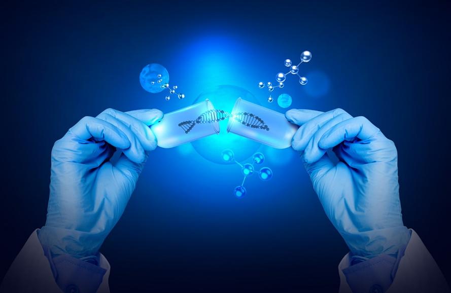 현재 국내 첨단재생의료법(첨생법)은 체외에서 세포를 조작해 투여하는 ‘익스비보(Ex vivo)’ 방식만 허용하고 있으며 체내에 직접 유전자를 주입하는 인비보 방식은 아예 임상조차 불가능하다. /게티이미지뱅크