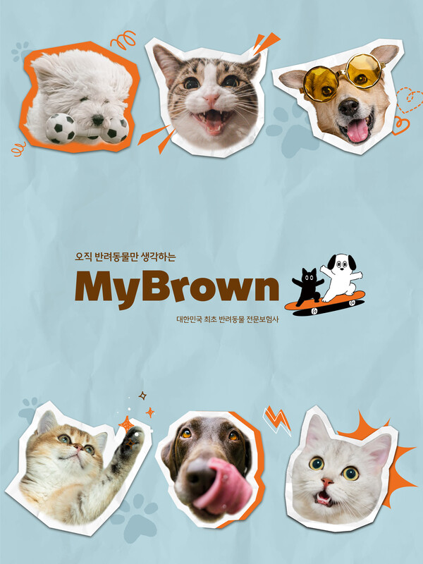 국내 첫 펫보험 전문사 마이브라운이 지난 16일 공식 영업을 시작했다. /마이브라운