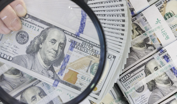 인플레이션이 극심한 나라에서는 당연히 스테이블코인을 그대로 보유하려는 수요가 늘어나 달러통화화가 대세가 될 가능성도 있다. /연합뉴스