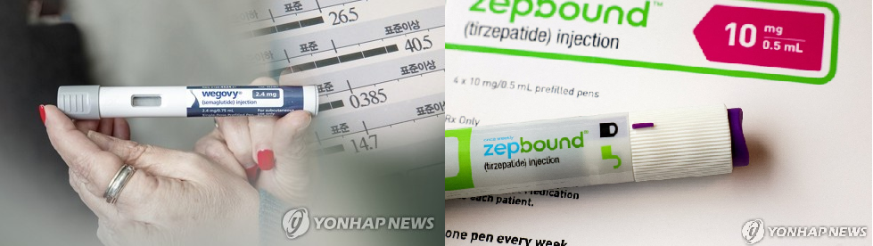 위고비는 올 상반기 국내 비만치료제 시장의 73.1%를 점유했다. 마운자로는 미국에서 젭바운드(Zepbound)라는 이름의 비만치료제로 승인받았는데 젭바운드의 미국 내 점유율은 위고비를 약 7% 앞서고 있다. /연합뉴스