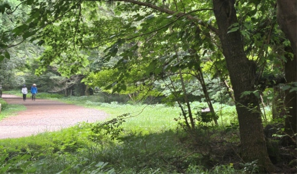 사려니숲길을 걷는 부부. 부부란 인생을 함께 걷는 사이이다. /한익종
