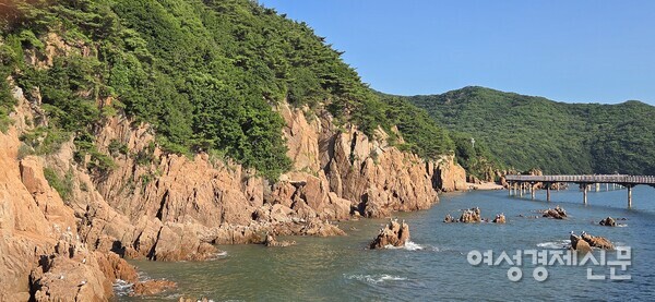 해안 덱길 절경 /박종섭