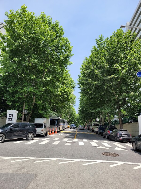청량리의 가로수는 커다란 플라타너스가 많다. 우리말로 양버즘나무라 하는데 잎이 크고 잘 자라 도심의 온도 조절 능력이 탁월하다. 청량리 미주아파트 단지 내에는 플라타너스와 은행나무, 벚나무, 개나리, 뽕나무 등이 있고 많은 새가 서식하고 있다. 최근에는 까마귀와 길고양이가 늘어 먹이 경쟁을 하고 있다. /사진=김성주