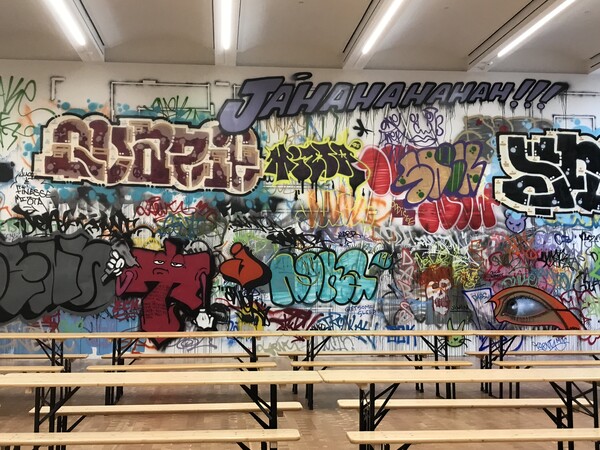 Fear eats the Soul 2019-2020.  Glenstone Museum. MD. Sarah Yun