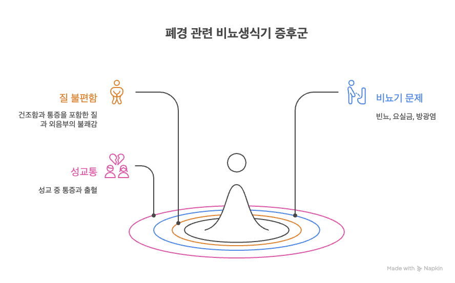 여성 의료 클리닉 루나의 세키구치 유키 이사장은 폐경 후 펨존(질과 외음부) 관리를 강조했다. 폐경 시 여성호르몬이 급감하며 발생하는 ‘폐경 관련 비뇨생식기 증후군은 점막 건조, 탄력 저하 등을 유발한다. 주요 증상은 질 건조, 통증, 빈뇨, 요실금, 성교통 등이며, 적극적인 관리가 필요하다. /냅킨AI, 여성경제신문 재구성
