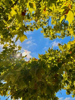 시는 내가 잊고 있었던 것을 꺼내게 하는 힘이 있다./Unsplash=Spencer DeMera