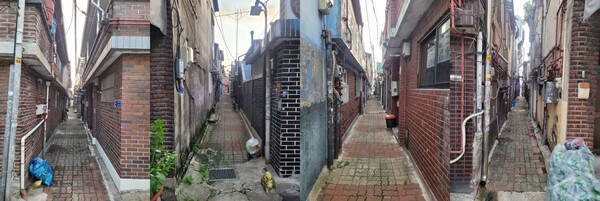 청량리 부흥주택은 주민들에게는 그냥 205번지 주택이라 불린다. 1957년에 조성된 터라 골목은 매우 좁고 집들은 간격 없이 붙어 있다. 재개발로 곧 없어질 풍경이다. /사진=김성주