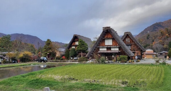'갓쇼즈쿠리'라는 건축양식의 집들. 창문은 다 남쪽을 향하고 있다고 했다. 해가 잘 들고 바람이 잘 빠지게 하기 위함이라 했다. /사진 =양은심