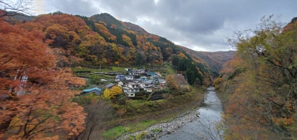 완연한 가을 풍경 /사진=양은심