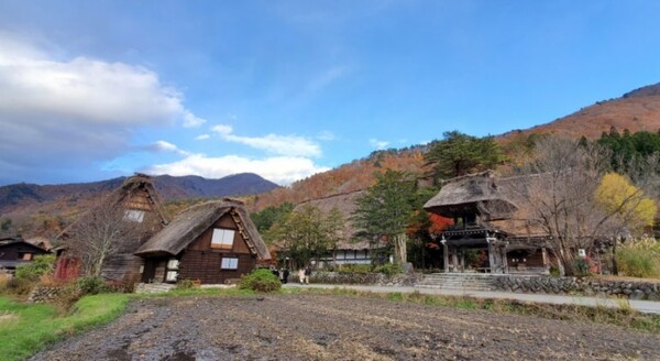 동네 어디를 찍어도 그림이 되는 곳이다. /사진=양은심