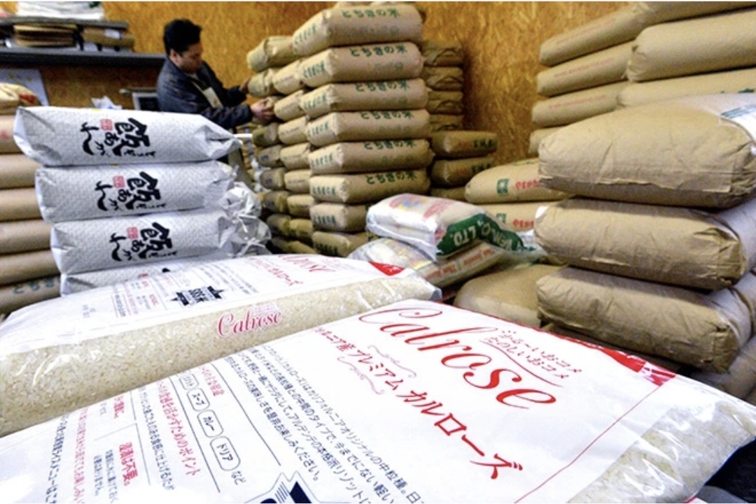 일본이 수입한 미국산 칼로스 품종 쌀이 담긴 봉지가 ​​앞부분에 놓여 있다. /AP=연합뉴스