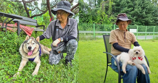 또치(시베리아허스키, 왼쪽), 뭉게(포메라니안)와 함께 농장에서 주말을 즐기는 송오성 교수의 모습. 현재 그는 국내 기술로 반려견의 털을 이용하여 메모리얼 다이아몬드를 만드는 연구를 진행하고 있다. /송오성