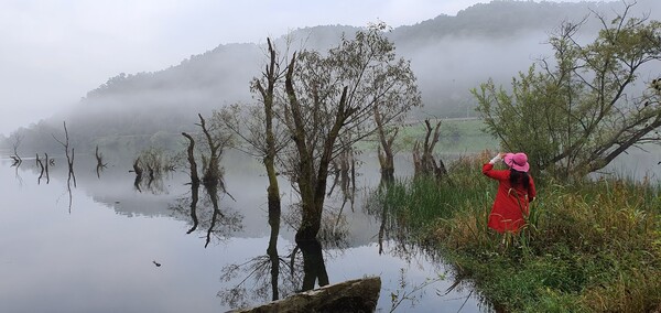 대청호를 새벽에 걸으면 물안개가 올라오며 신비한 모습을 관찰할 수 있다. /사진=김성주
