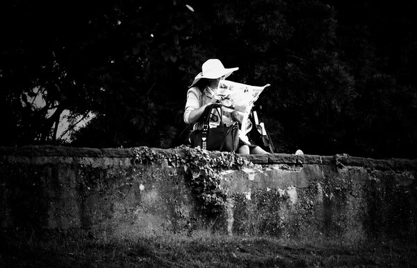 신문을 읽는 독자 /픽사베이