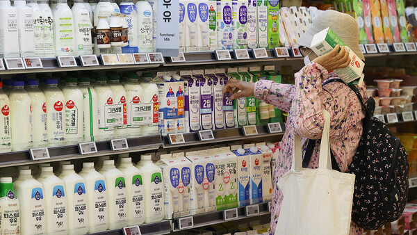 서울에 위치한 한 대형마트 유제품 판매 코너에 한 고객이 우유를 고르고 있다. /연합뉴스