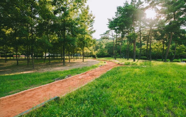 경기도가 도민 건강을 위해 2026년까지 '경기 흙향기 맨발길'을 1천 개 확보하겠다고 밝혔다. 사진은 오산 고인돌공원 맨발길의 모습이다. /경기도 제공