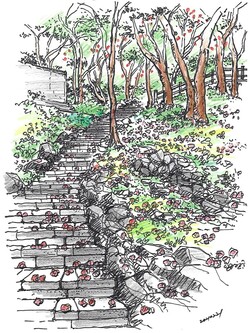 도장포의 동백 숲 /그림=손웅익