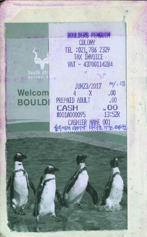 펭귄을 보러 펭귄이 사는 볼더스 비치로 왔다. 입장권 영수증 /사진=일러스트  윤마디 madimadi-e@naver.com