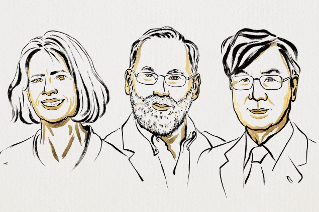 올해 노벨생리의학상은 ‘조절 T세포(Regulatory T cell)’의 존재를 밝혀낸 일본의 사카구치 시몬과 미국의 메리 브렁코, 프레드 램즈델 세 명의 연구자에게 돌아갔다. /노벨상 웹사이트