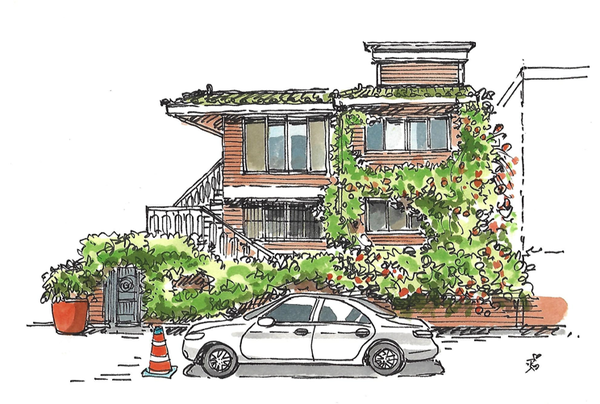 능소화가 가득한 집 /그림=손웅익