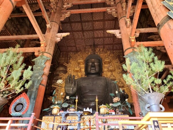 한참을 서서 올려다보았던 도다이지의 대불 /사진=양은심