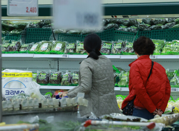 3분기 GDP가 민간소비 확대와 정부의 소비쿠폰 지급 효과에 힘입어 내수 회복세를 보였다. /연합뉴스