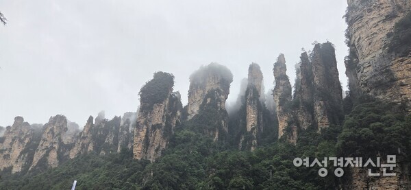 중국 후난성 장가계 국립삼림공원의 모습 /박종섭