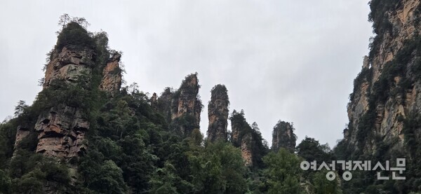 화랑처럼 절경이 10리나 펼쳐져 있다는 십리화랑 /박종섭