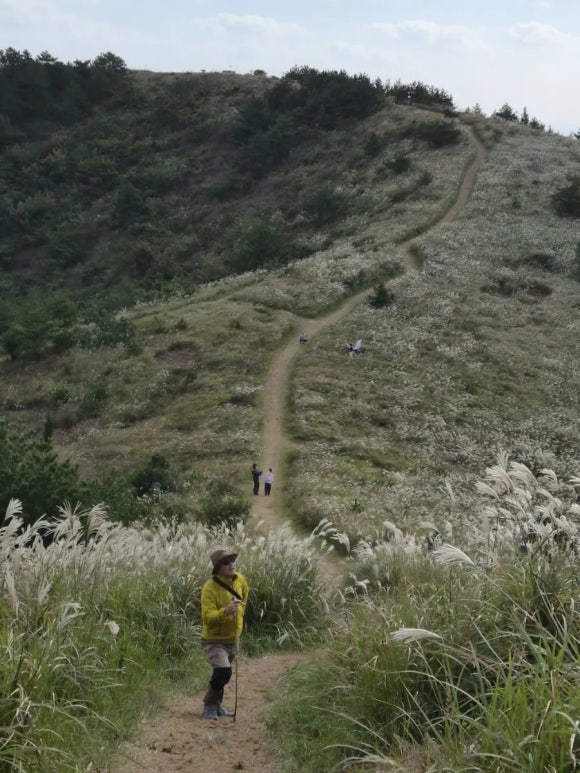 오름의 여왕이라 칭송되는 따라비오름 /사진=한익종