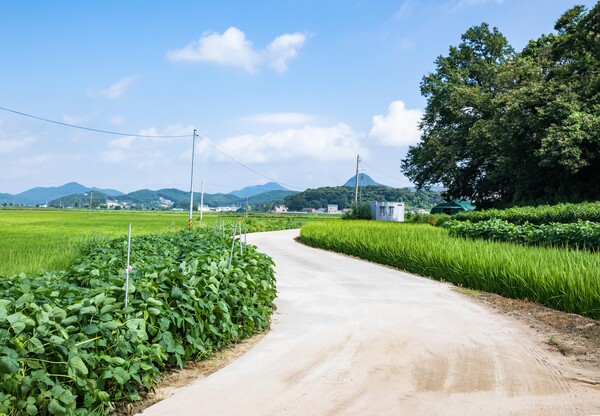 농촌 보건지소 공보의들이 검사·전문의 진단 권유를 ‘진료거부’로 오해받고 폭언·민원에 시달린다. 전문가들은 공보의 보호장치와 주민 인식 개선이 필요하다고 지적한다. /게티이미지뱅크