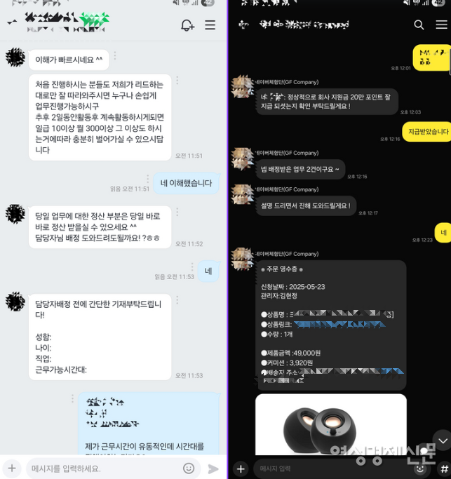 피해자 이 씨는 '본인들의 제품을 구매해서 홍보해주면 구매 비용과 홍보비를 포함한 금액을 입금해주겠다'는 말에 속아 총 750만원의 현금을 잃었다. 사진은 이 씨와 피의자가 SNS를 통해 나눈 대화 내용 /독자제보