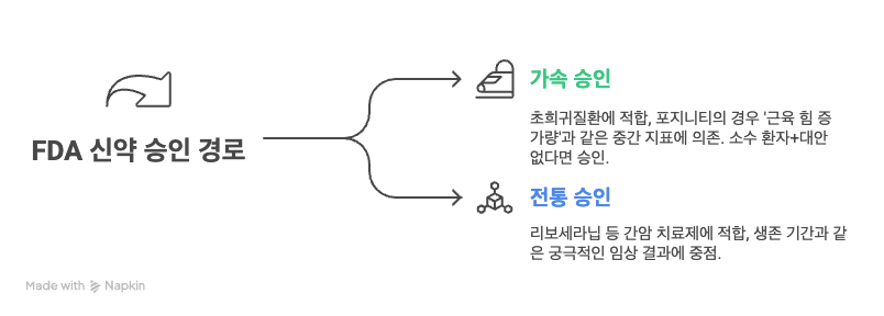 포지니티는 중간 지표로 가속 승인됐지만 리보세라닙은 생존지표 전통 승인 기준이 적용돼 더 까다로운 심사가 진행되는 구조다. /여성경제신문, 냅킨AI