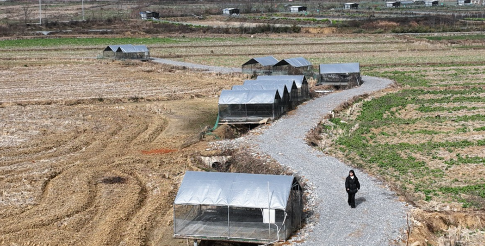 전국 보건지소 241곳은 의사·간호사가 모두 없고 전북은 28.1%로 가장 비율이 낮다. 공보의 감소로 내년 통합돌봄 시행 전 의료 공백이 심화되고 있다. /연합뉴스