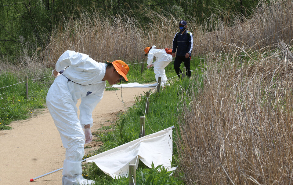 야생진드기 채집하는 연구원들 /연합뉴스