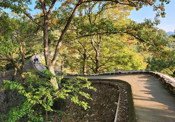 많은 시민이 산성길을 걷는다. 여행을 할수록 평화로운 공간을 걷는 게 최고의 여행임을 새삼 깨닫는다. /박헌정