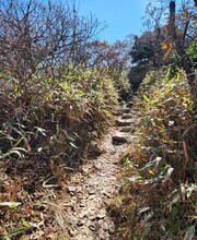 덕유산은 그다지 예쁜 산은 아니면서 길은 험하다. /박헌정