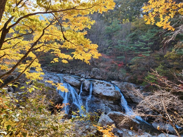 구천동 어사길 초입 월하탄에 이르자 비로소 늦가을 정취가 느껴진다. /박헌정