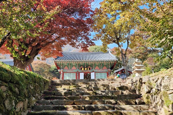 영국사는 작고 조용하지만 유서 깊은 절이다. 찾는 사람도 많다. /박헌정