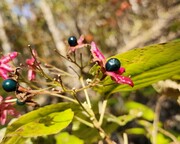 돌아오는 길에서 다시 떠나고픈 마음이 드니 큰일이다. /박헌정