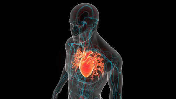 2050년 아시아 심혈관질환자는 7억2950만명으로 코로나19 누적 확진자 수를 넘어설 전망이다. 연구진은 고혈압·비만·짠 음식 등 대사 위험 요인을 경고하며 혈압·혈당 동시 관리의 중요성을 강조했다. /구글 제미나이
