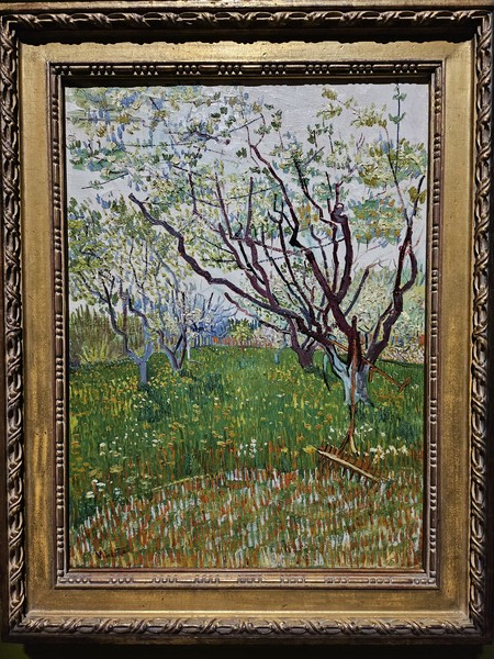   고흐가 아를로 이주하여 그린 첫 연작 중 하나인 ‘꽃피는 과수원’(1888) /한형철 초빙기자