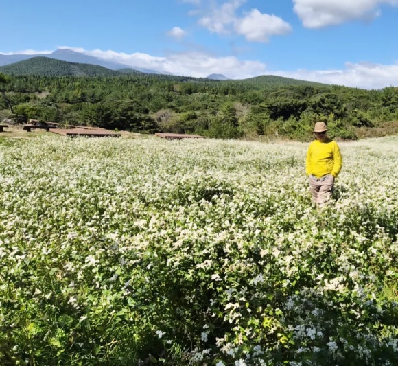 제주 머체왓 메밀밭을 거니는 필자 /사진=한익종