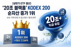 [상반기 ETF 결산] ㊦ '20조 블랙홀' KODEX 200의 독주···삼성·미래 양... - 뉴스 썸네일 이미지